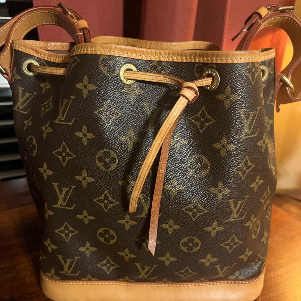 Louis Vuitton Petite Noe NM Monogram Bag